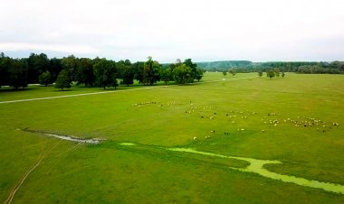 Gölyaka Kültürpark (2019)