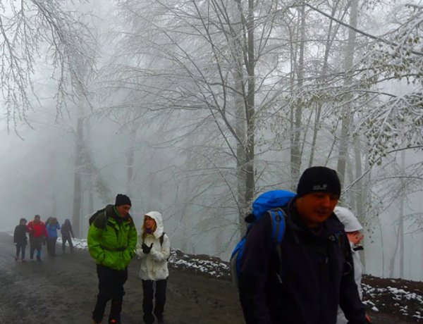 Düzce Yürüyüş Parkurları