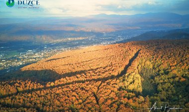 Düzce Kaynaşlı İlçesi Saz Köyü (2020)