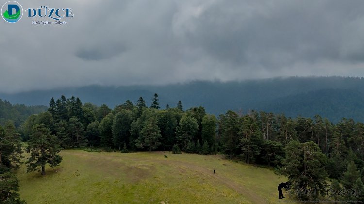 Düzce Kızık Yaylası Fotoğrafları (2018)