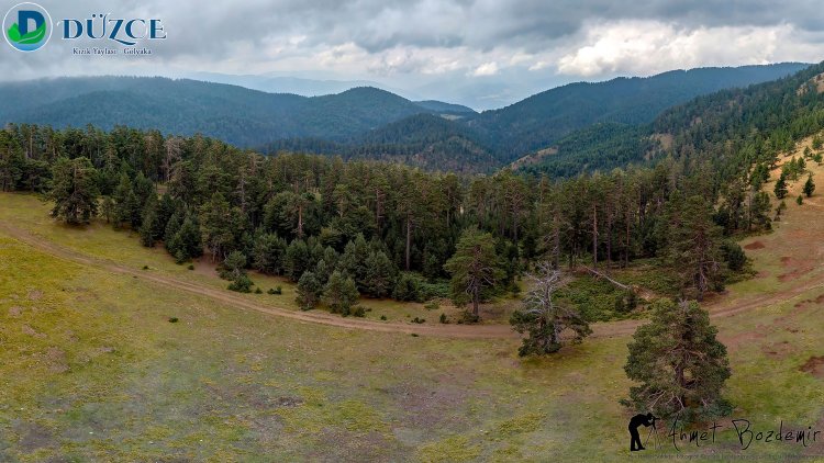 Düzce Kızık Yaylası Fotoğrafları (2018)