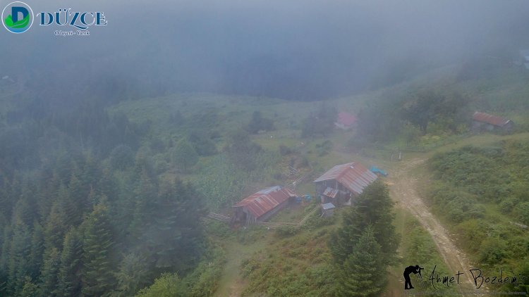 Düzce Odayeri Yaylası - Yanık (2018)