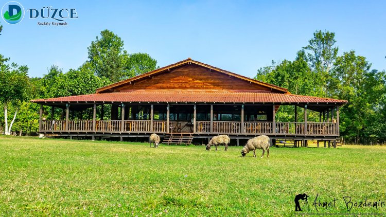 Düzce Kaynaşlı İlçesi Saz Köyü (2018)