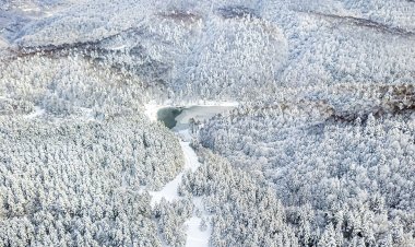 Düzce Kaynaşlı Kar Kış Fotoğrafları 2021
