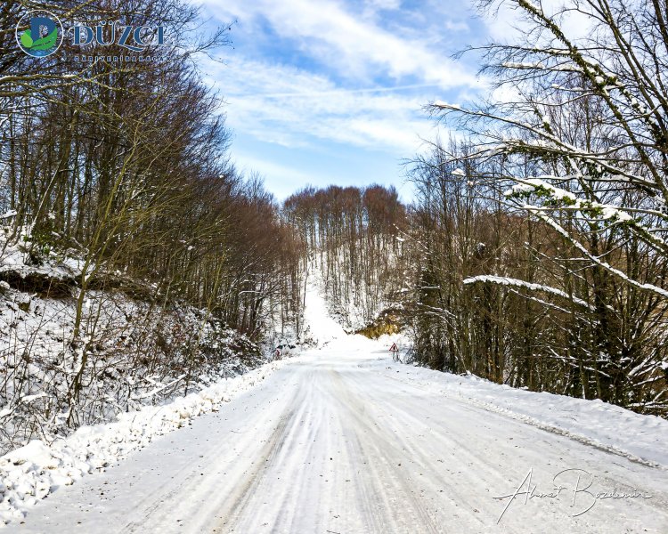 Düzce Kaynaşlı Kar Kış Fotoğrafları 2021