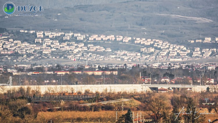 Sarıdere - Elmacık  Kekik Tepesi