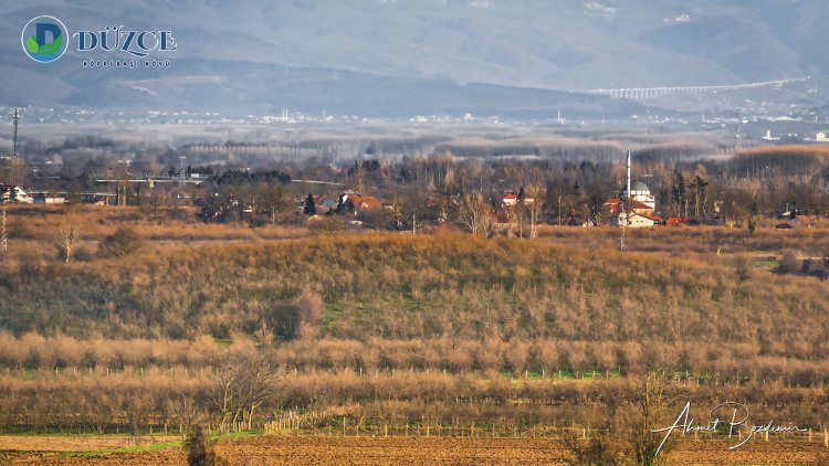 Sarıdere - Elmacık  Kekik Tepesi