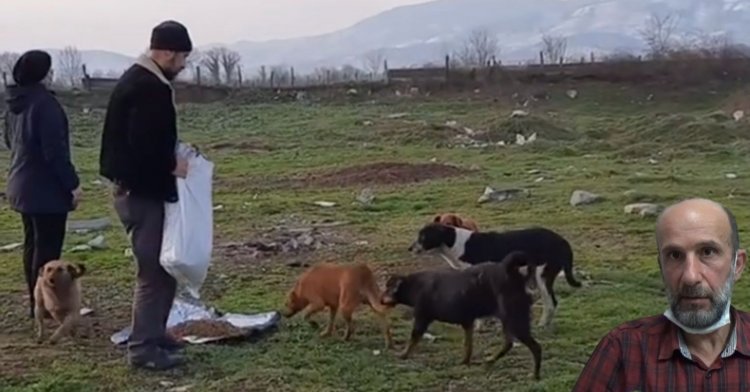 Bipativer sokak hayvanlarını yalnız bırakmıyor