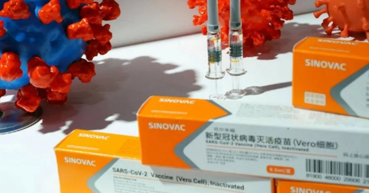 Sinovac, Türkiye'de üretilecek!