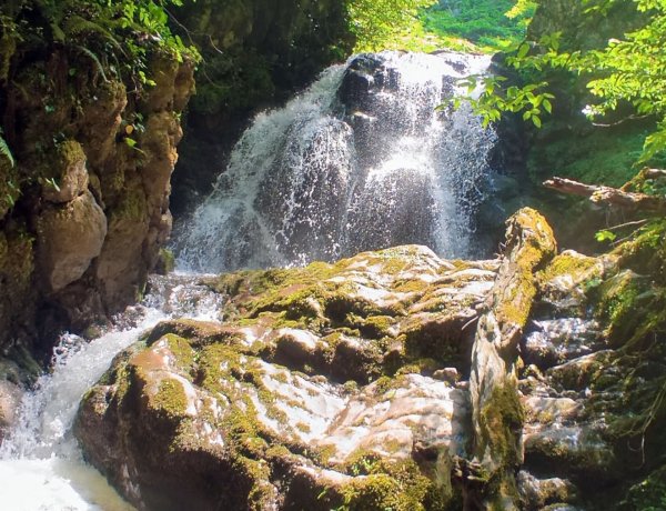 Düzce Derinoba Şelaleleri