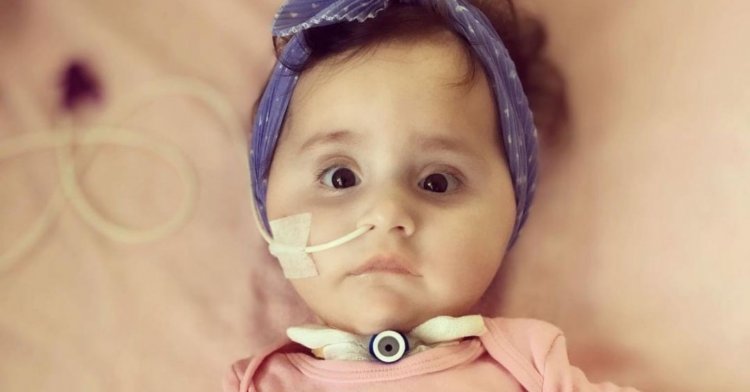 Sare’nin tedavisi için konulan yardım kutusunu çaldılar!