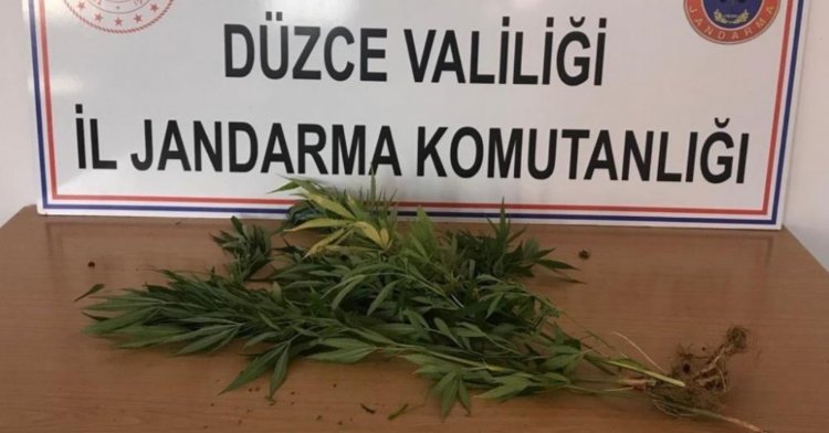 3 farklı noktada operasyon!
