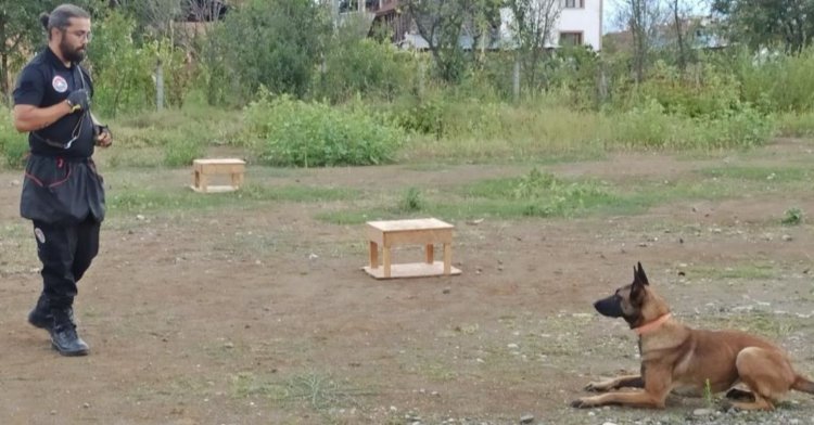 Can kurtaran köpekler iki yıl eğitiliyor!