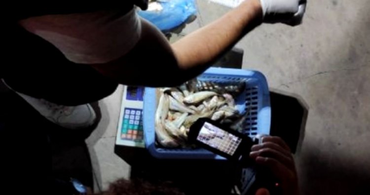 602 kilo balığa el koyuldu!