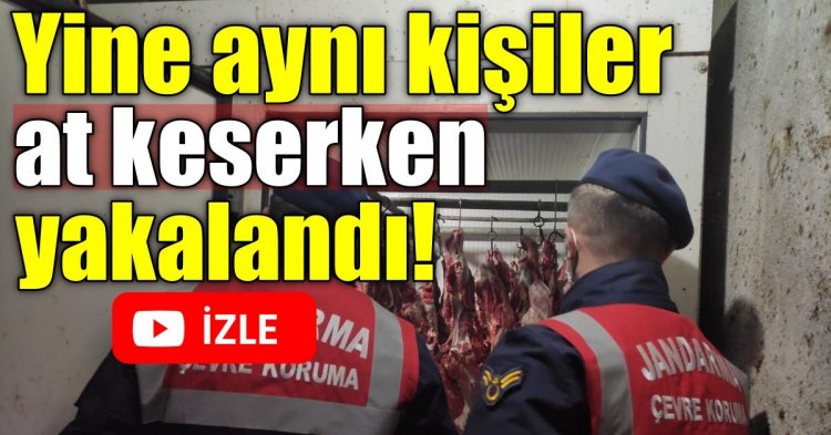 Yine aynı kişiler at keserken yakalandı!