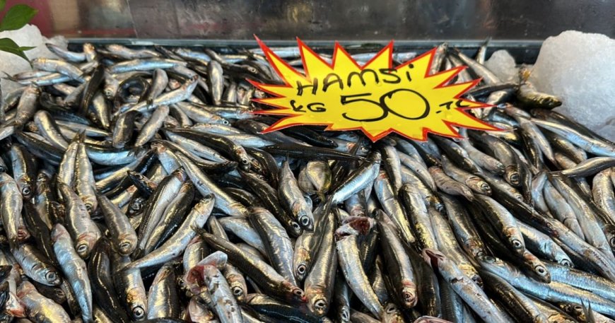 150 liraya kadar çıkan hamsi, 50 liraya düştü