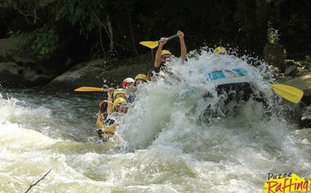 Düzce Rafting